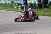 20110501_ales_agnus (2425)